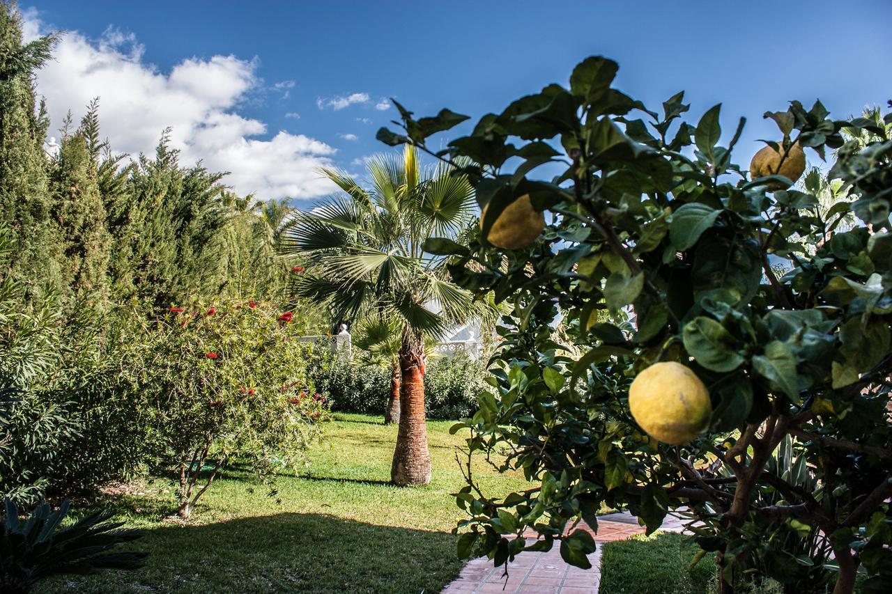 Cipreses House Nerja Βίλα Εξωτερικό φωτογραφία